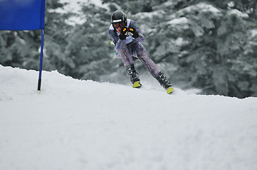 Image showing ski race