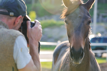 Image showing photographer and horse