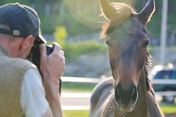 Image showing photographer and horse