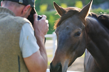 Image showing photographer and horse