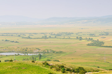 Image showing meadow