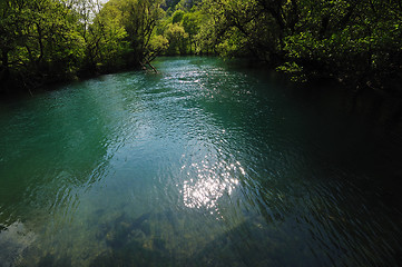 Image showing river waterfall wild 