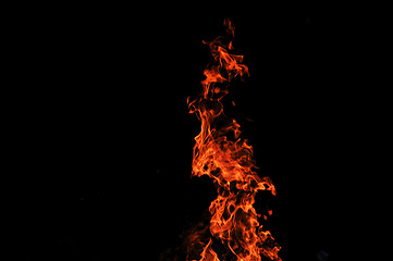 Image showing wild fire