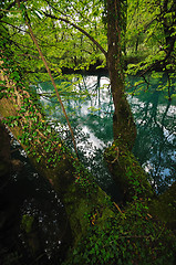 Image showing river waterfall wild 