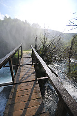 Image showing bridge river wild