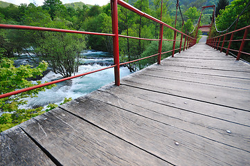 Image showing bridge river wild