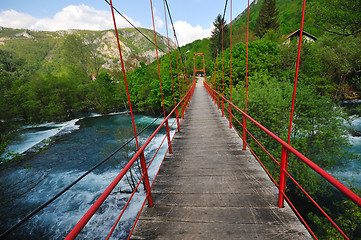 Image showing bridge river wild