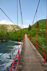 Image showing bridge river wild