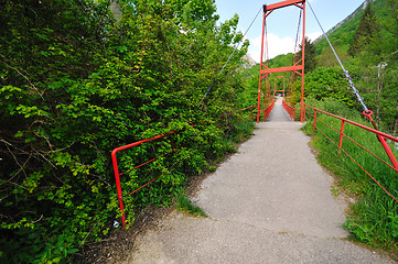 Image showing bridge river wild