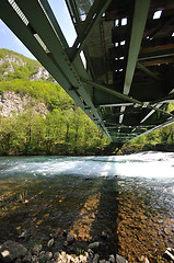 Image showing bridge river wild