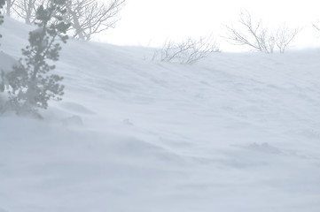 Image showing winter landscape