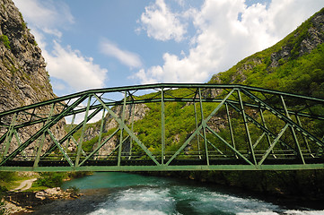 Image showing bridge river wild