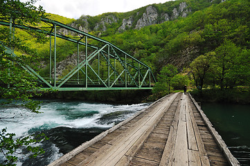 Image showing bridge river wild