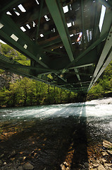 Image showing bridge river wild