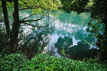 Image showing river waterfall wild 