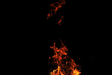 Image showing wild fire