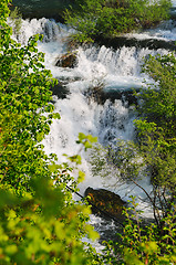 Image showing river waterfall wild 