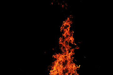 Image showing wild fire