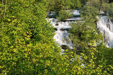 Image showing river waterfall wild 