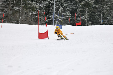 Image showing ski race