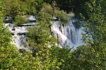 Image showing river waterfall wild 