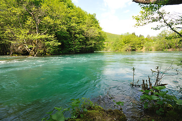 Image showing river waterfall wild 