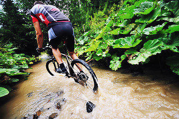 Image showing wetmtb