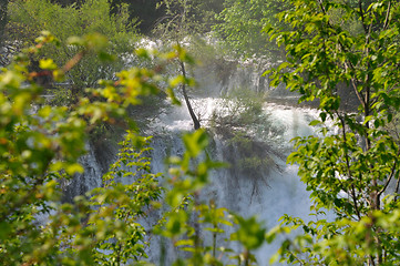 Image showing river waterfall wild 