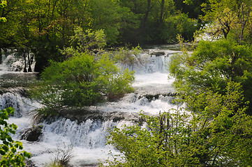 Image showing river waterfall wild 