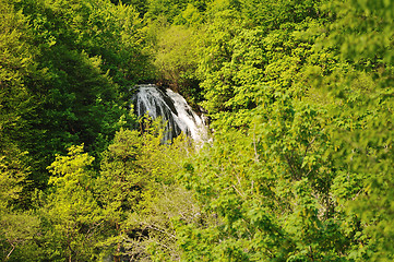 Image showing river waterfall wild 