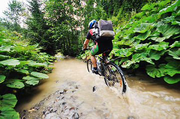 Image showing wetmtb