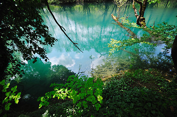 Image showing river waterfall wild 