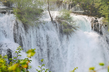 Image showing river waterfall wild 