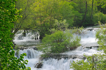 Image showing river waterfall wild 