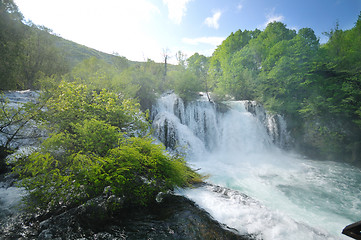 Image showing river waterfall wild 