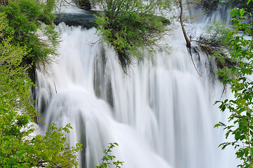 Image showing river waterfall wild 