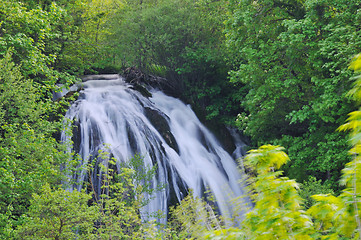 Image showing river waterfall wild 