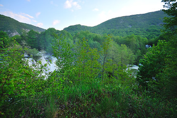 Image showing river waterfall wild 