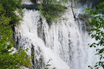 Image showing river waterfall wild 