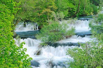 Image showing river waterfall wild 