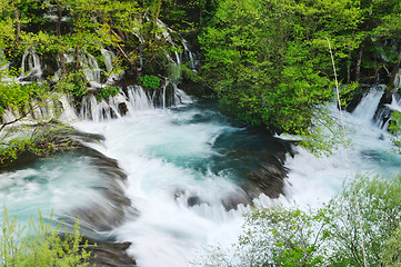 Image showing river waterfall wild 