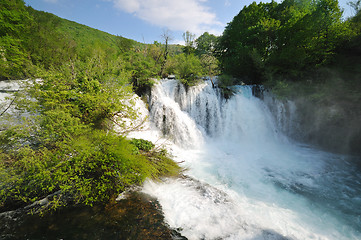 Image showing river waterfall wild 