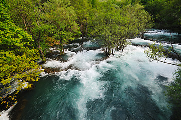 Image showing river waterfall wild 