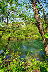 Image showing river waterfall wild 