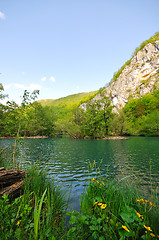 Image showing river waterfall wild 