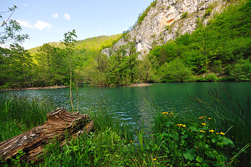 Image showing river waterfall wild 