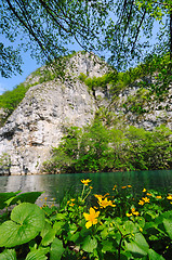 Image showing river waterfall wild 