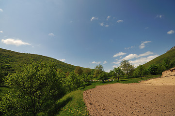 Image showing bee home at meadow