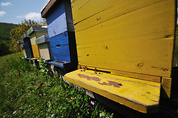 Image showing bee home at meadow