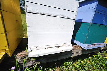 Image showing bee home at meadow